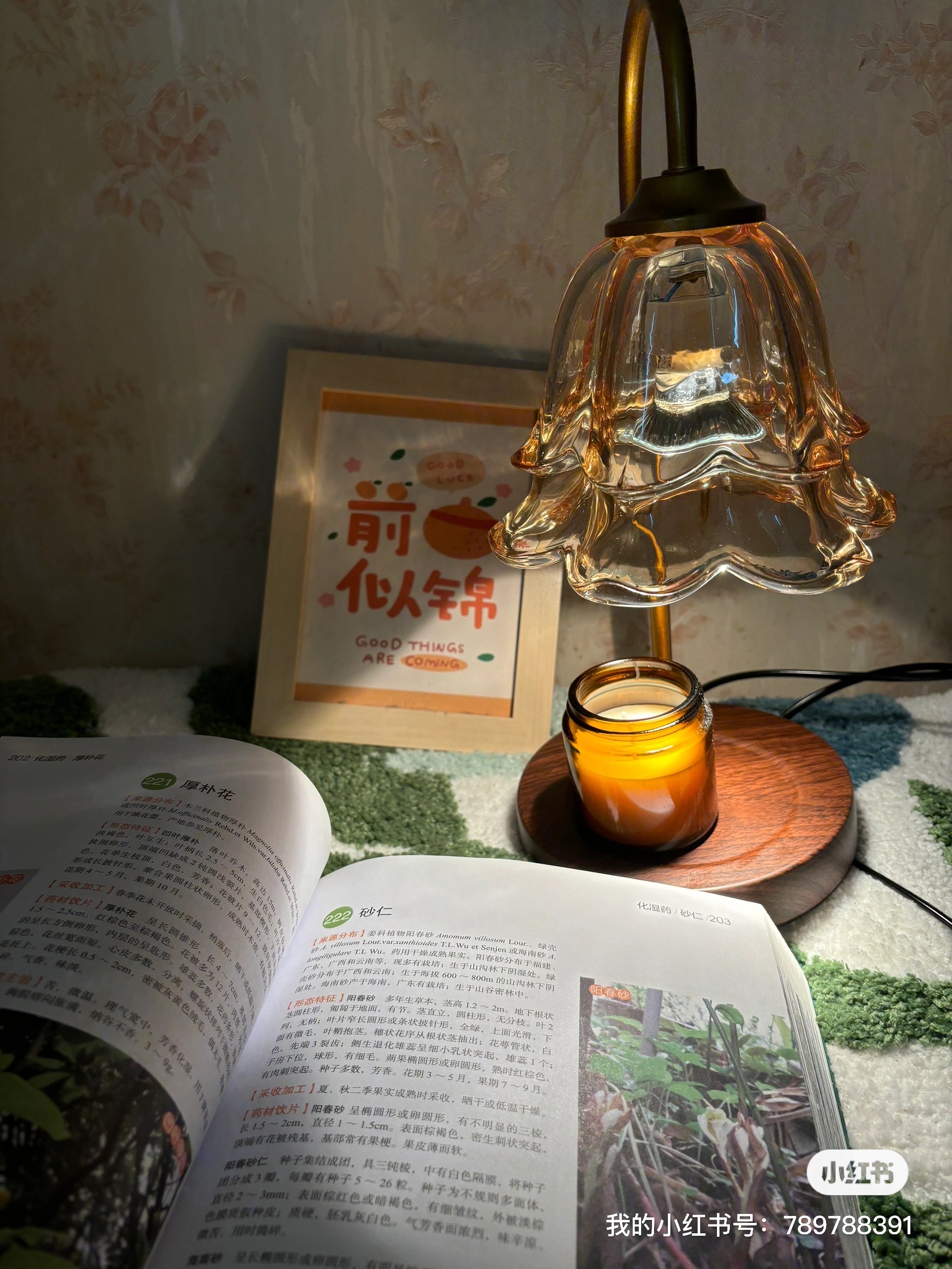 地下通道里的回声散步：脚步是另一种路标